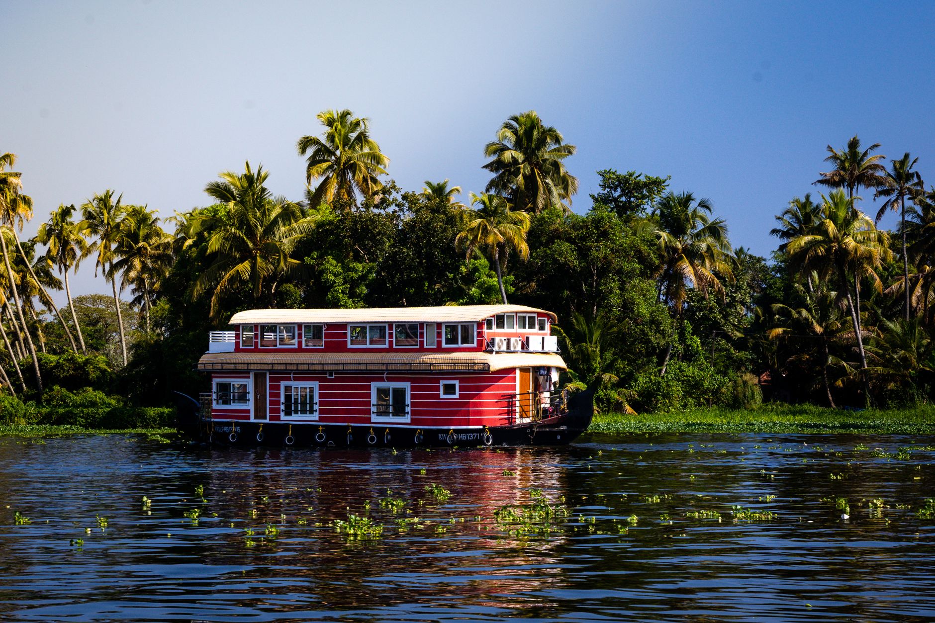 Houseboat płynący wśród palm po rozlewiskach Kerali w Indiach
